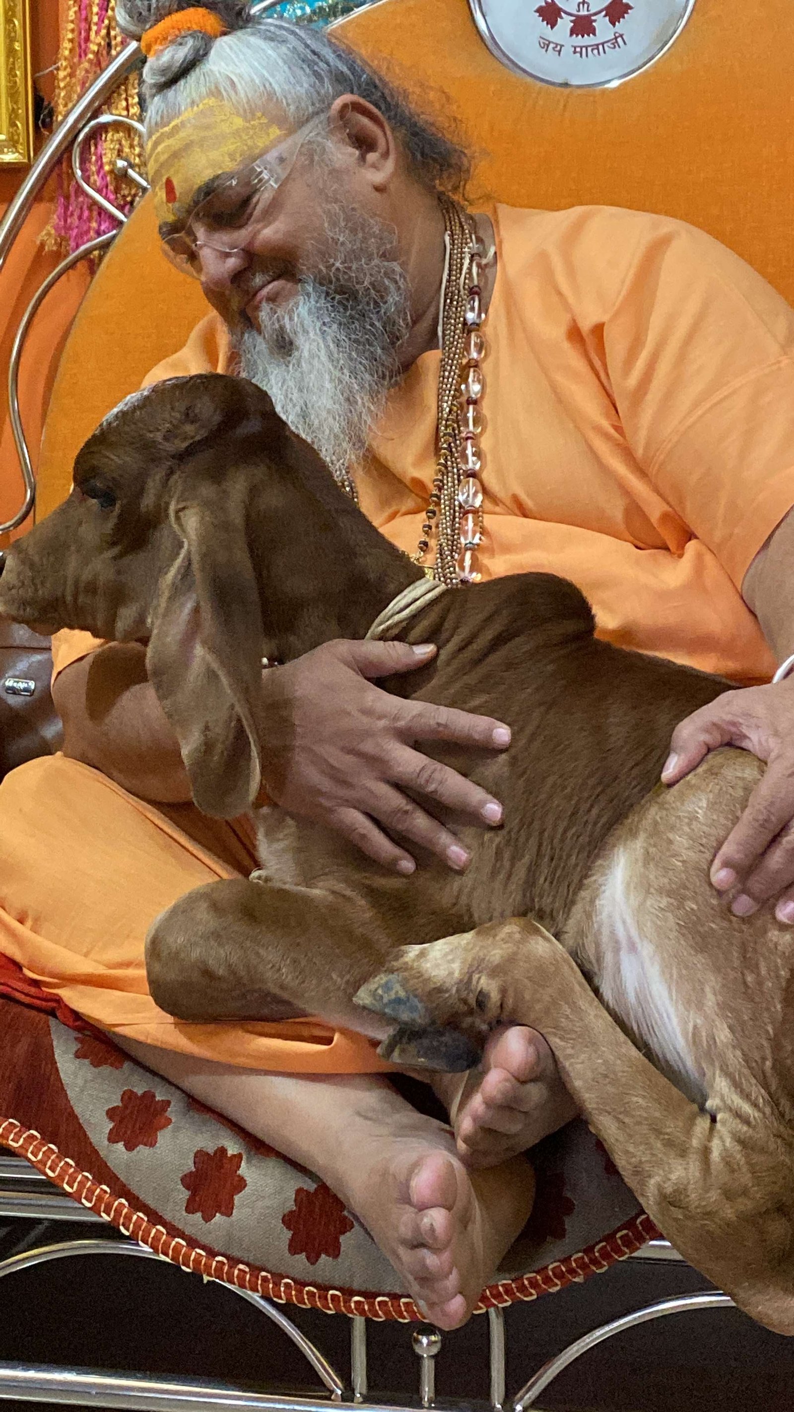 Gaushala photo
