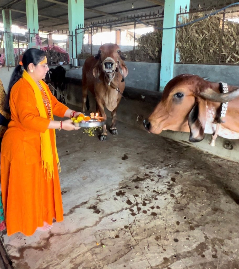 Gaushala photo