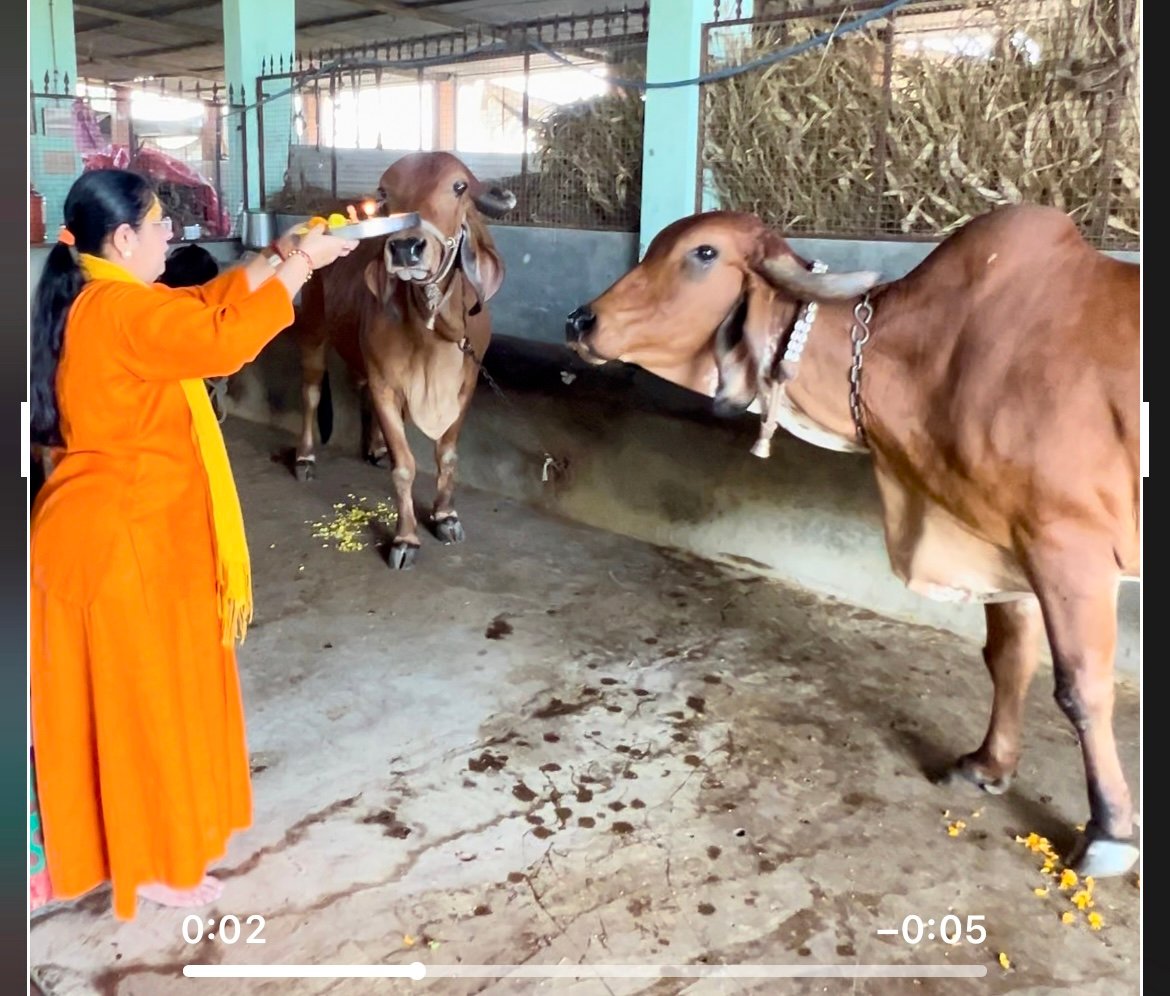 Gaushala photo