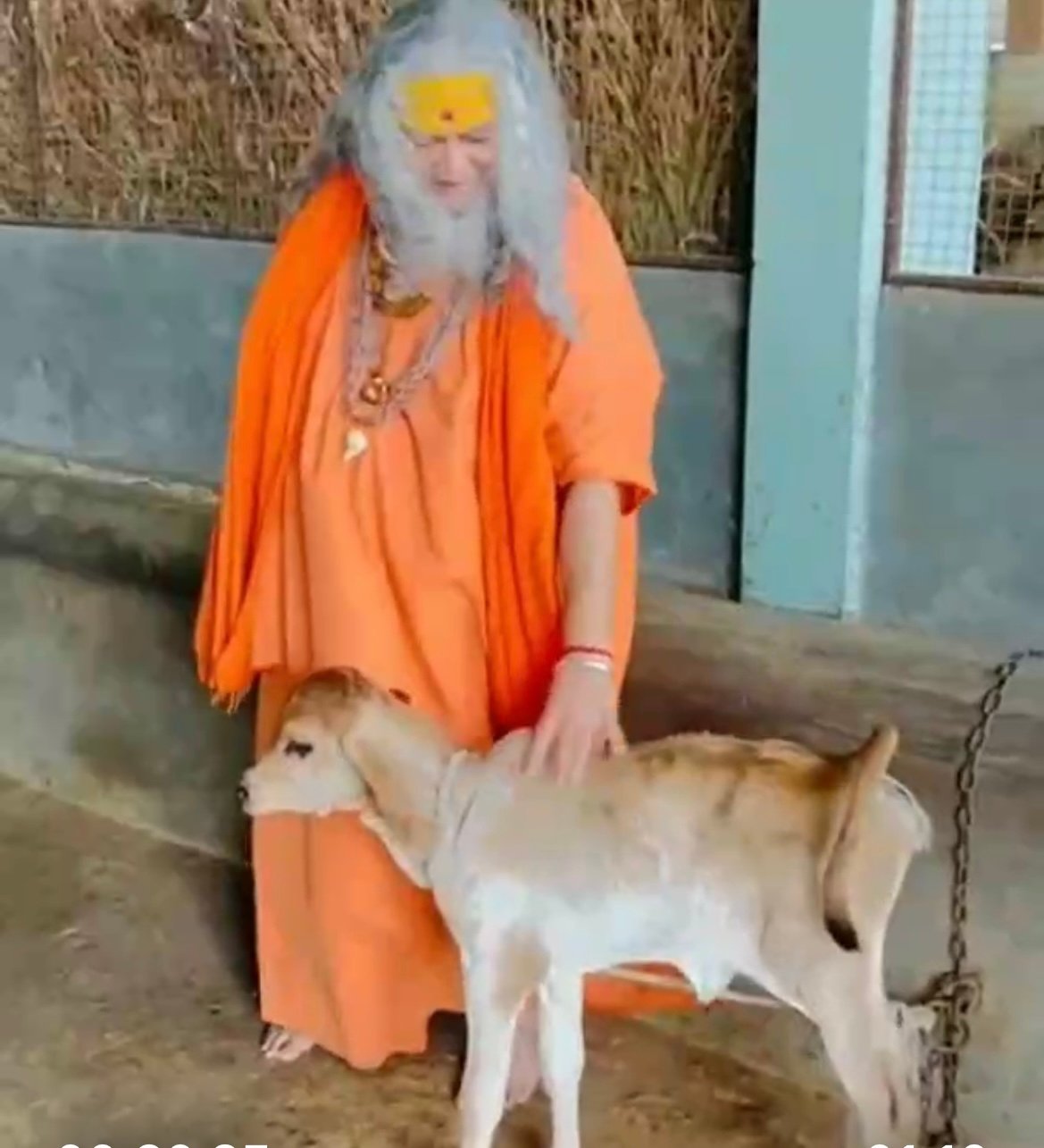 Gaushala photo