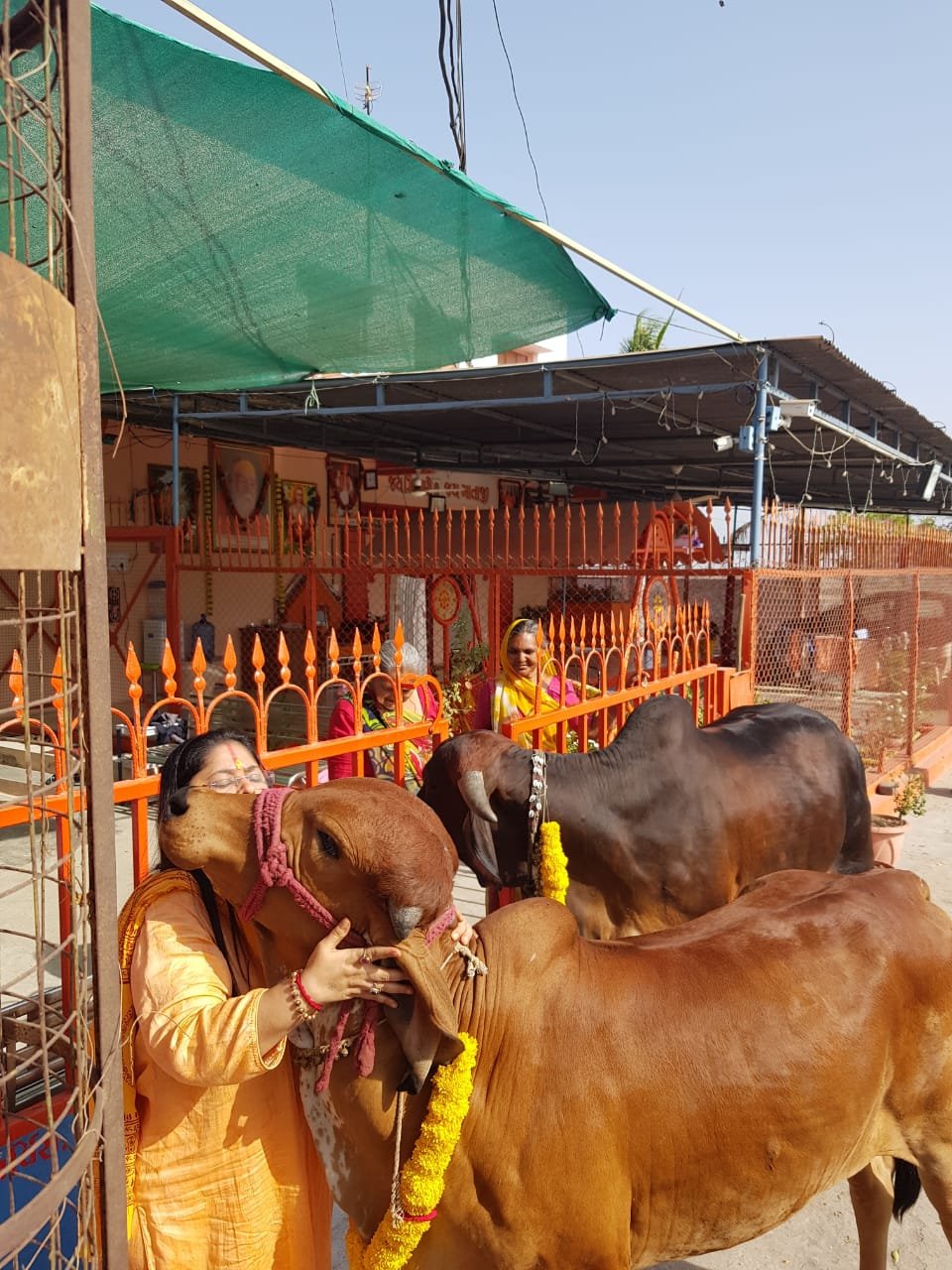 Gaushala photo