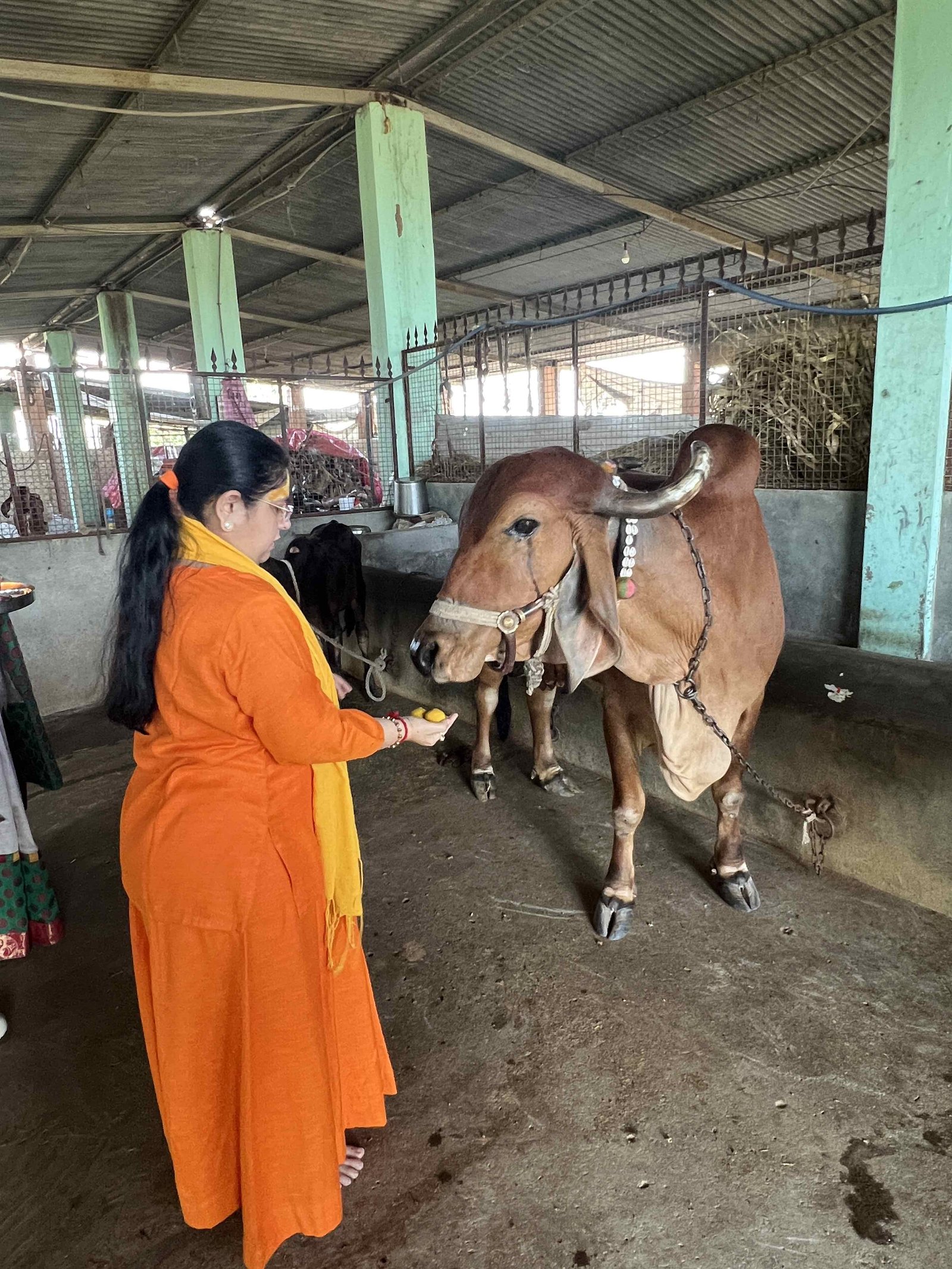 Gaushala photo
