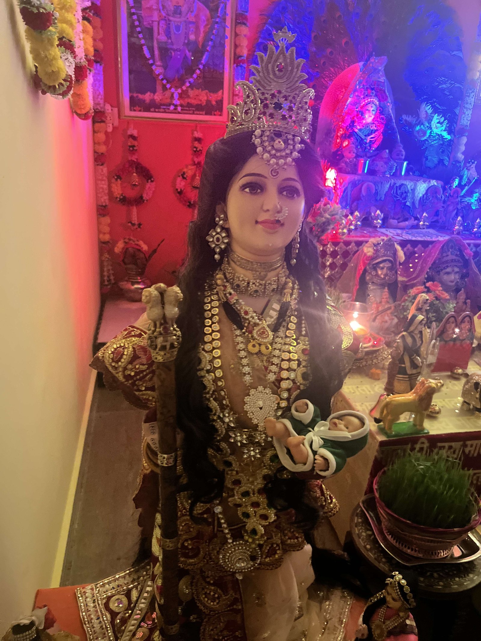 Navratri Anushthan photo