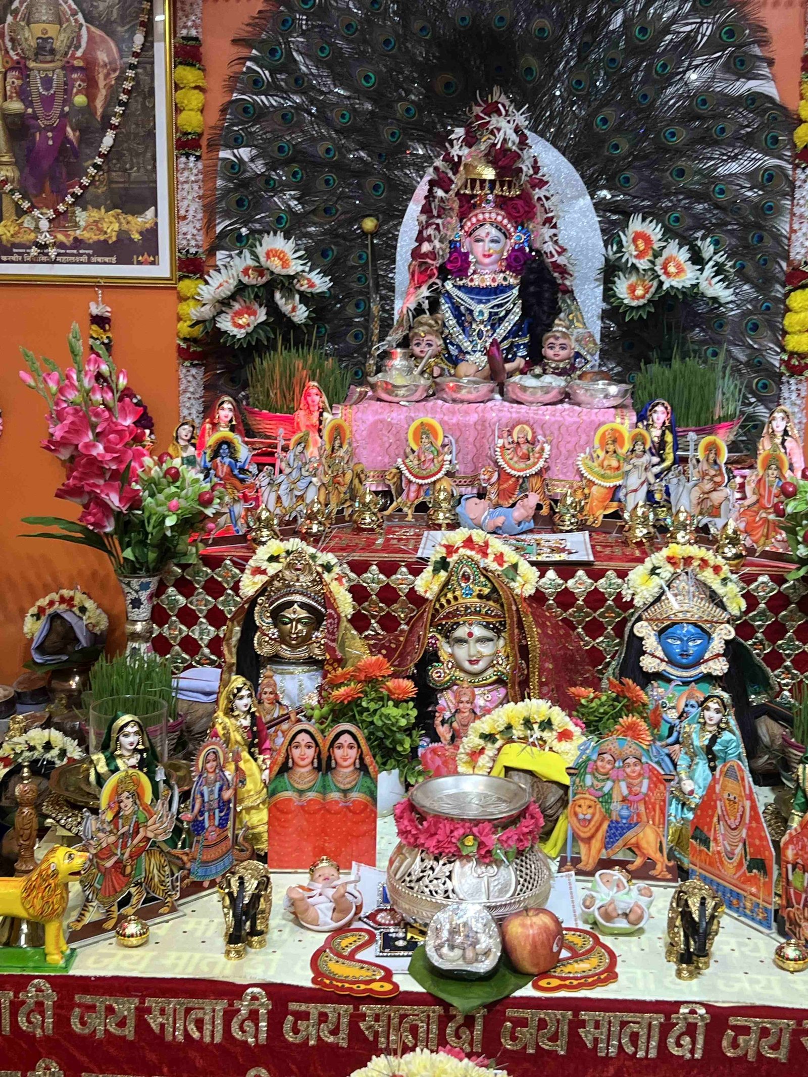 Navratri Anushthan photo