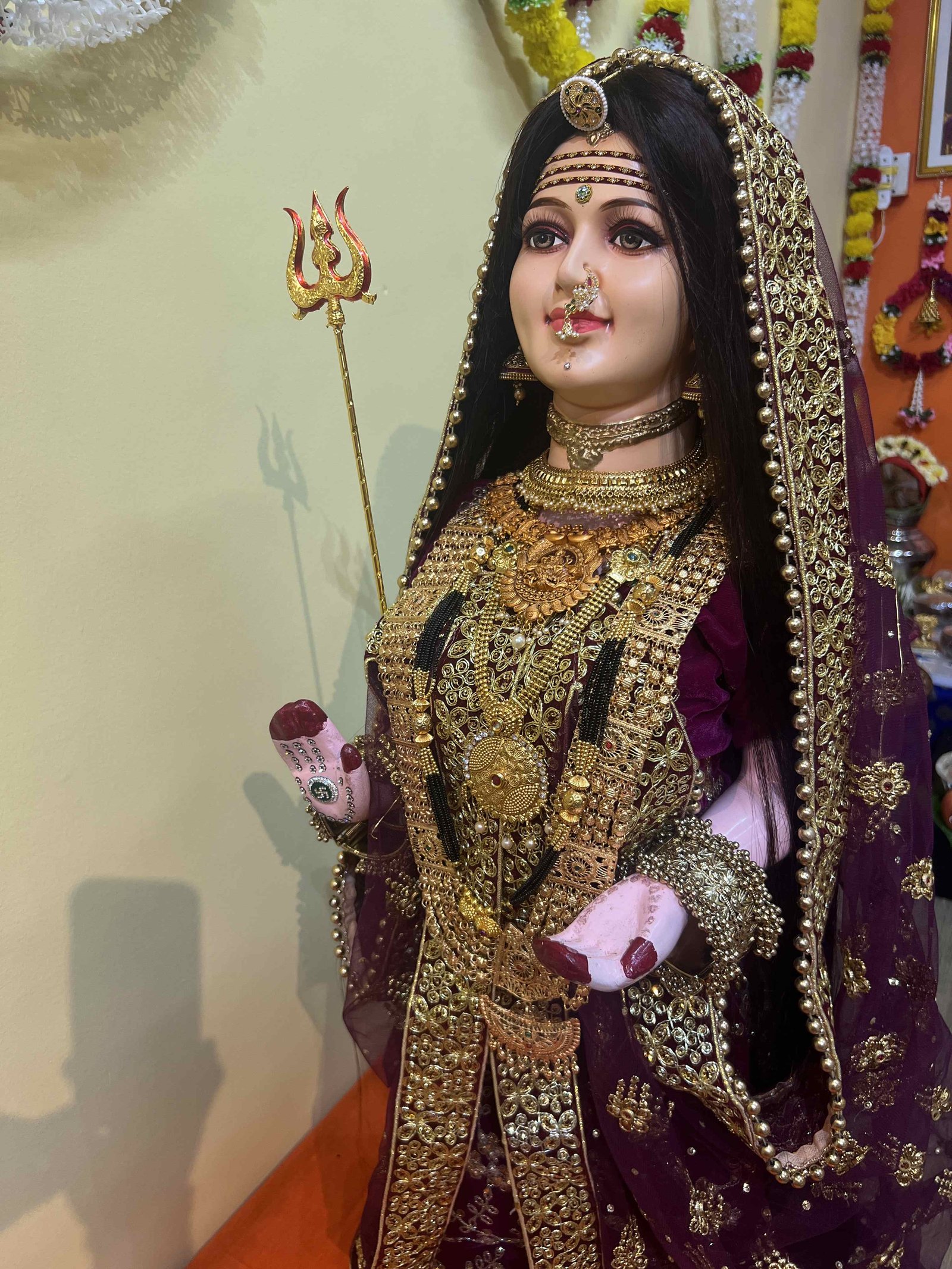 Navratri Anushthan photo