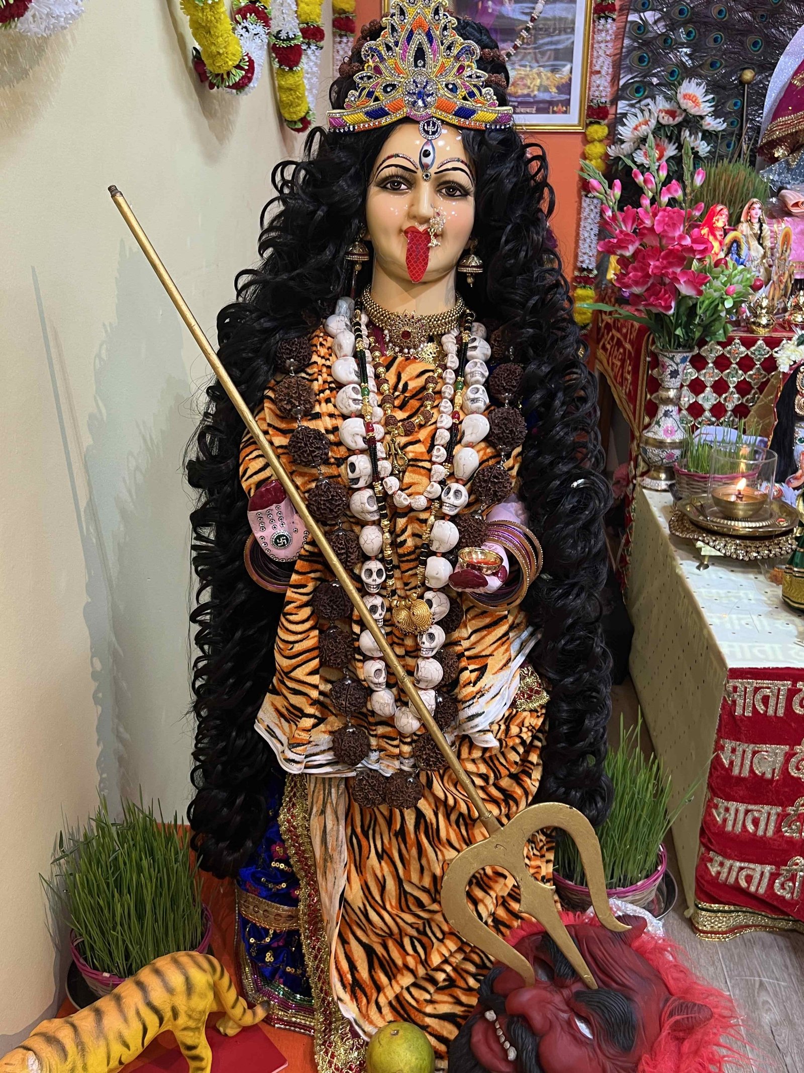 Navratri Anushthan photo