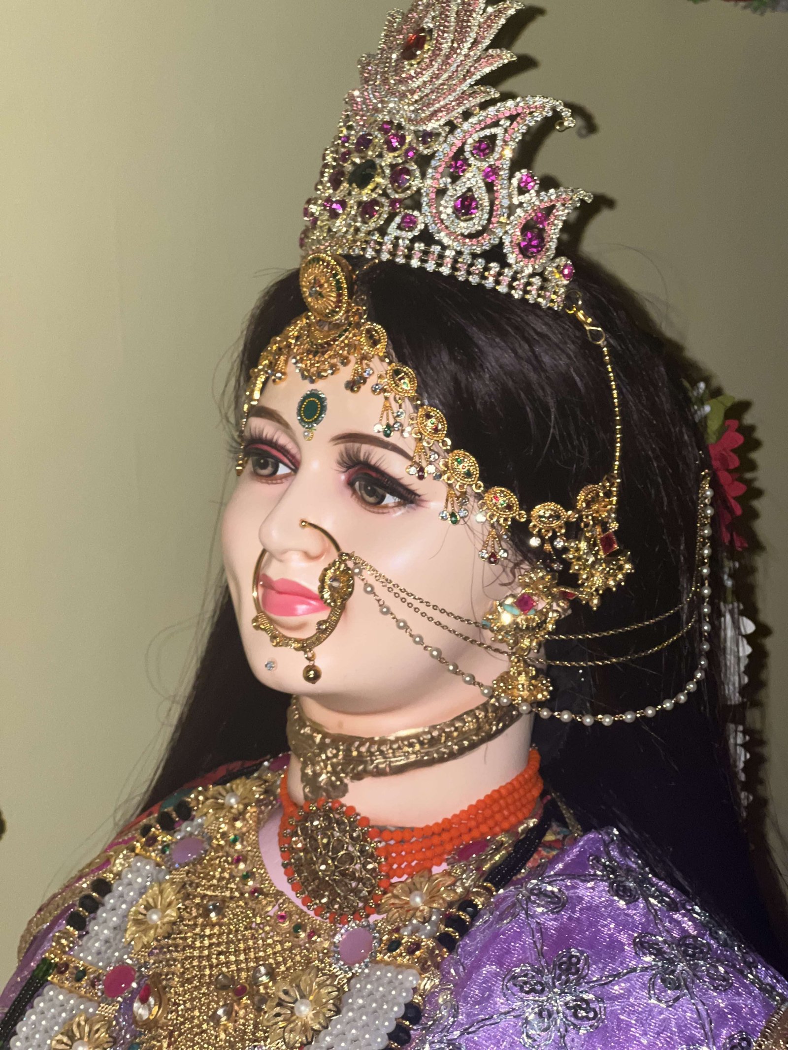 Navratri Anushthan photo
