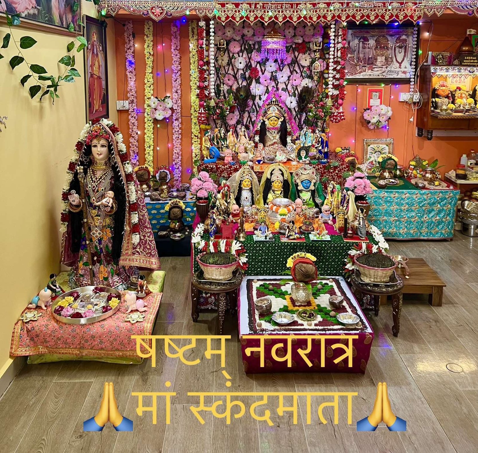 Navratri Anushthan photo