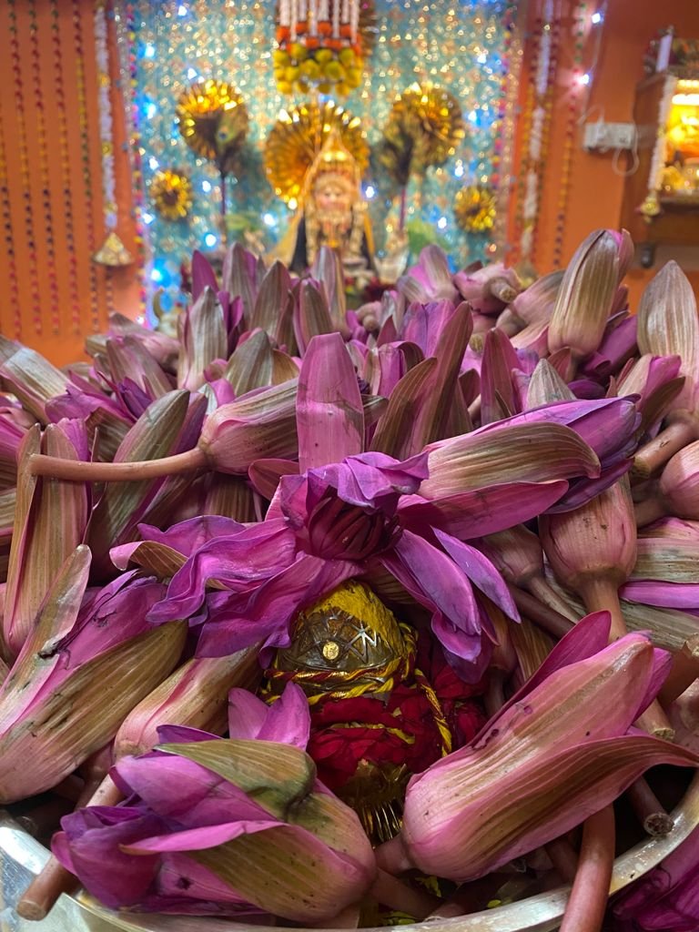 Navratri Anushthan photo