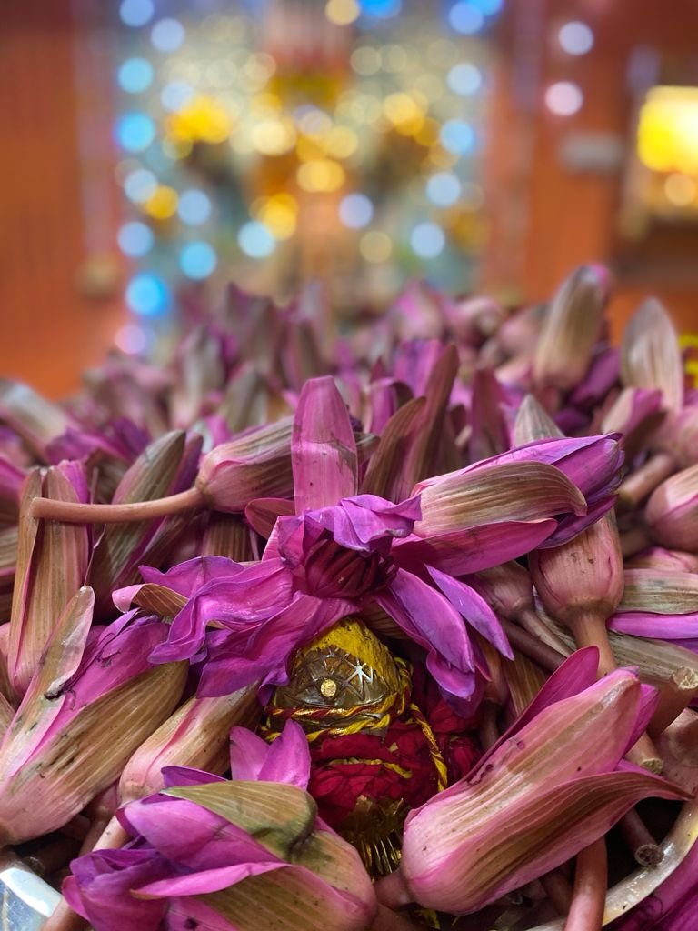 Navratri Anushthan photo
